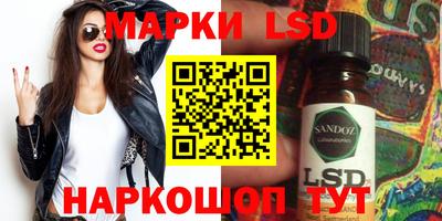 крисы Моздок
