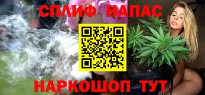 крисы Моздок