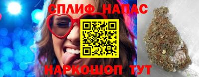 крисы Моздок