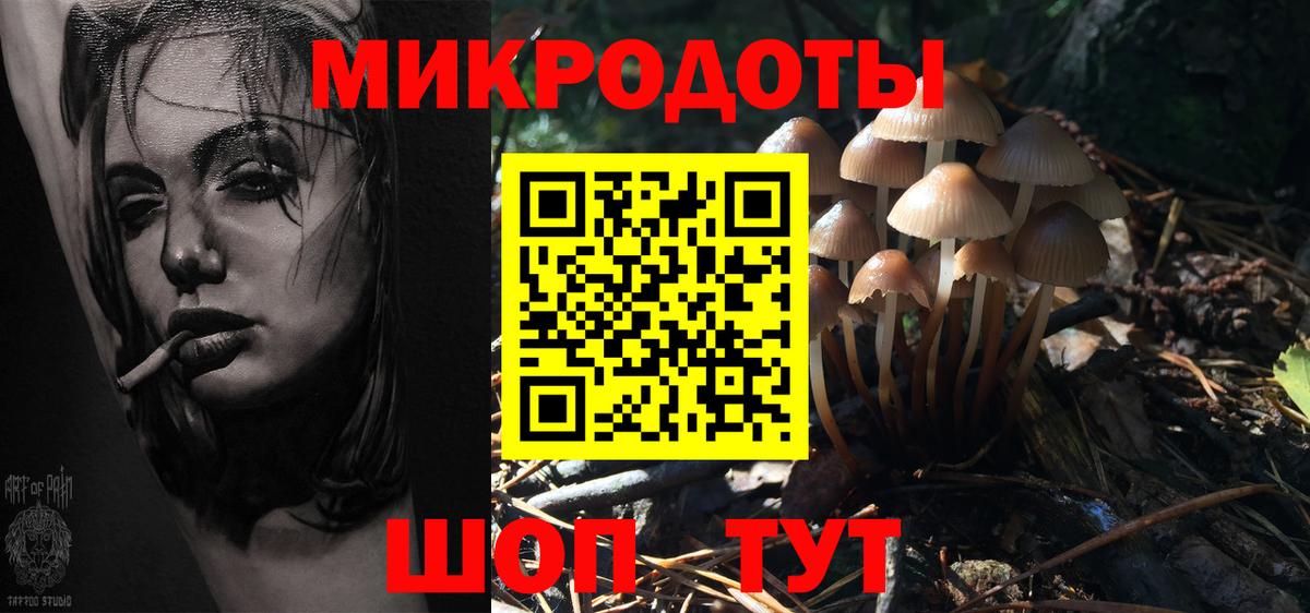 Галлюциногенные грибы Cubensis Котельники